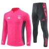 Duitsland Color Trainings Sweatshirt Quarter-zip 2024-25 Roze - Heren